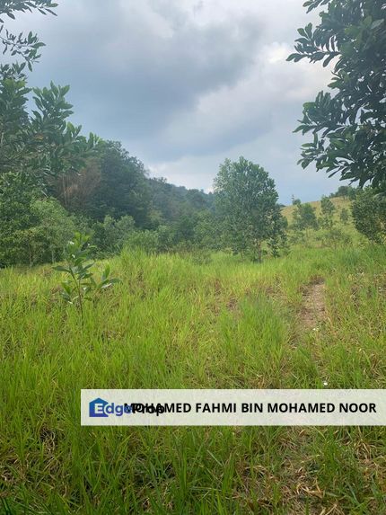 Land Agriculture at Selayang Selangor, Selangor, Selayang