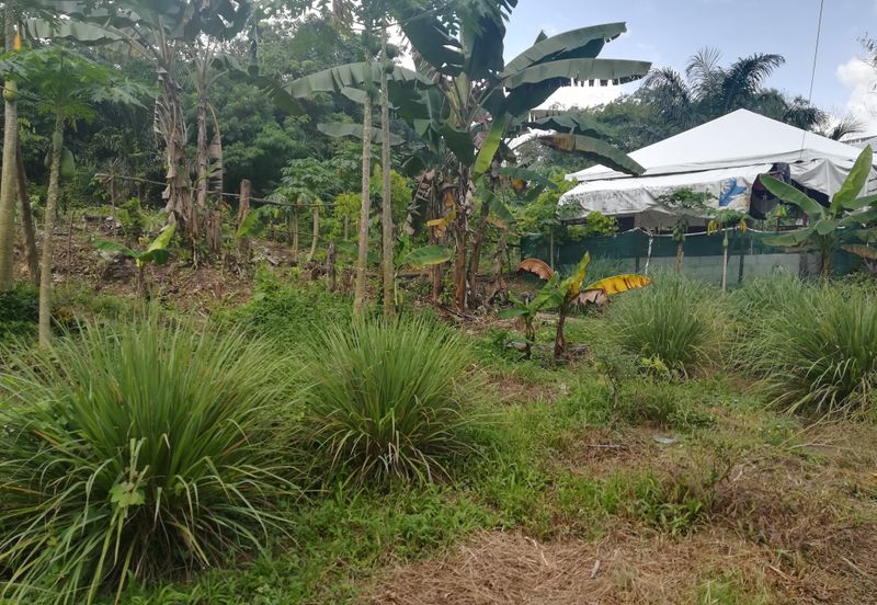Pantai Dalam Kampung Kerinchi