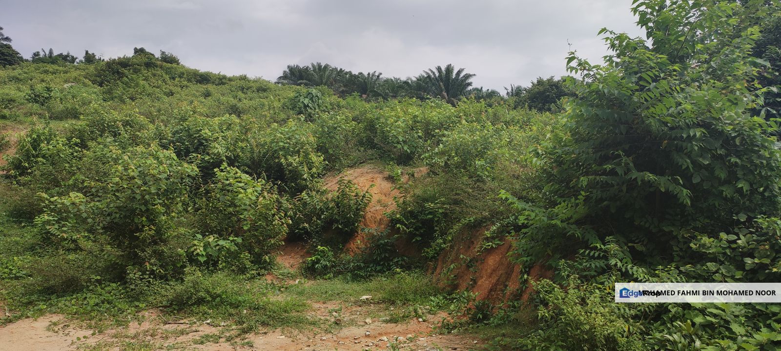 Agriculture Land 4.1 Acre Pondoi Alor Gajah, Negeri Sembilan, Tampin