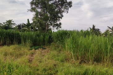 Agriculture Land 2 Acre Sungai Kandis, Shah Alam