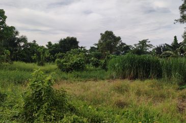 Agriculture Land 2 Acre Sungai Kandis, Shah Alam