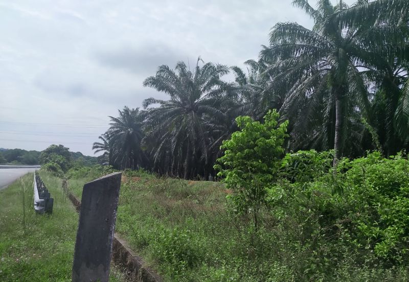 Agriculture Land Si Rusa Port Dickson 