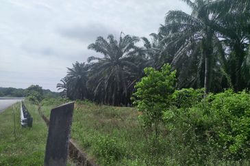 Agriculture Land Si Rusa Port Dickson 