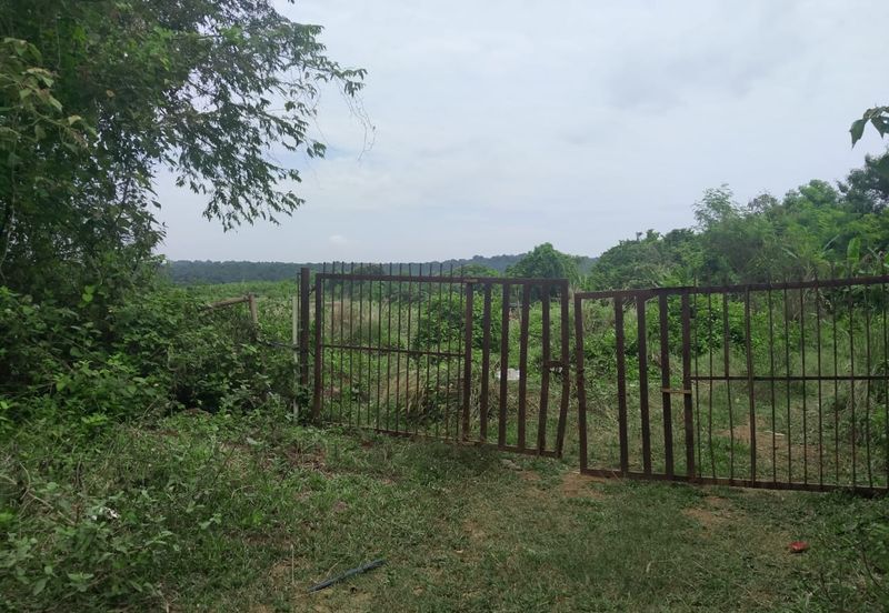 Agriculture Land Si Rusa Port Dickson 