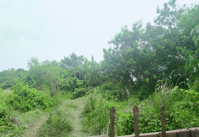 Agriculture Land Si Rusa Port Dickson 