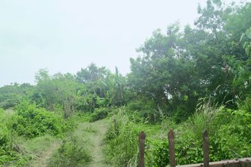 Agriculture Land Si Rusa Port Dickson 