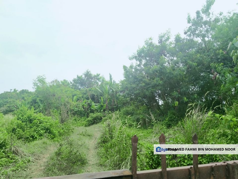 Agriculture Land Si Rusa Port Dickson , Negeri Sembilan, Port Dickson