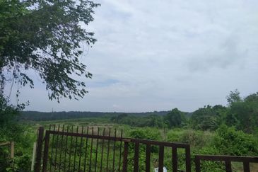 Agriculture Land Si Rusa Port Dickson 