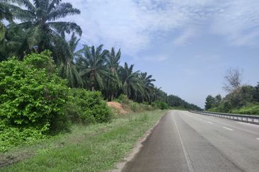 Agriculture Land Si Rusa Port Dickson 