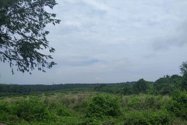 Agriculture Land Si Rusa Port Dickson 