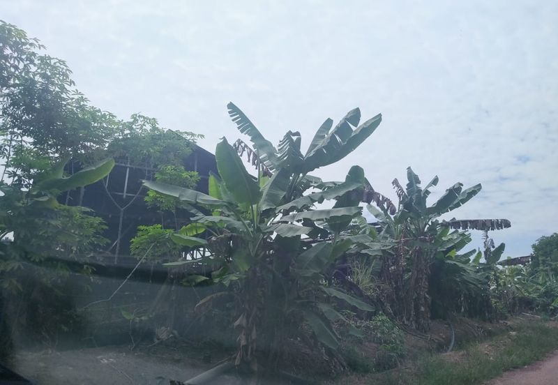 Agriculture Land Si Rusa Port Dickson 