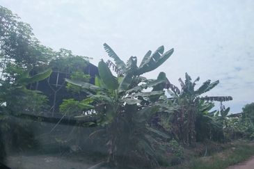 Agriculture Land Si Rusa Port Dickson 