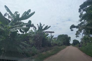 Agriculture Land Si Rusa Port Dickson 