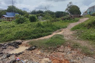 Agriculture Land Sungei Petai,Lendu Alor Gajah 