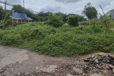 Agriculture Land Sungei Petai,Lendu Alor Gajah 