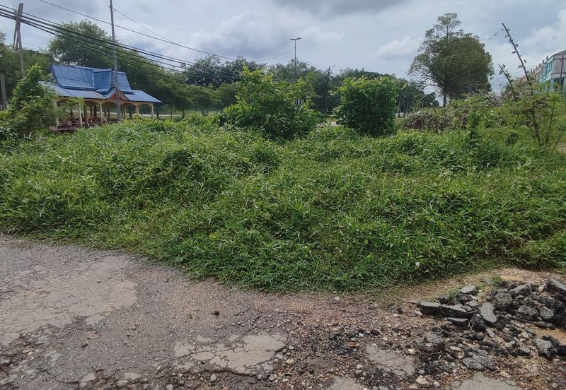 Agriculture Land Sungei Petai,Lendu Alor Gajah 