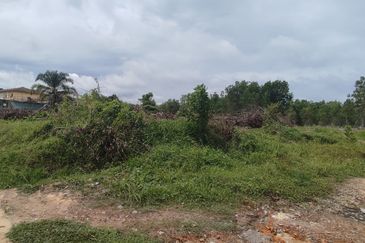 Agriculture Land Sungei Petai,Lendu Alor Gajah 