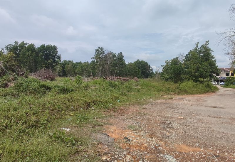 Agriculture Land Sungei Petai,Lendu Alor Gajah 