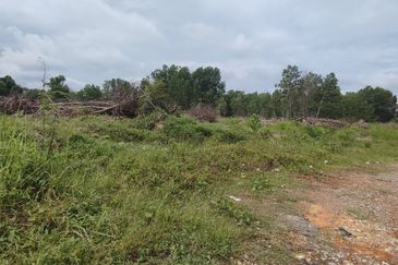 Agriculture Land Sungei Petai,Lendu Alor Gajah 