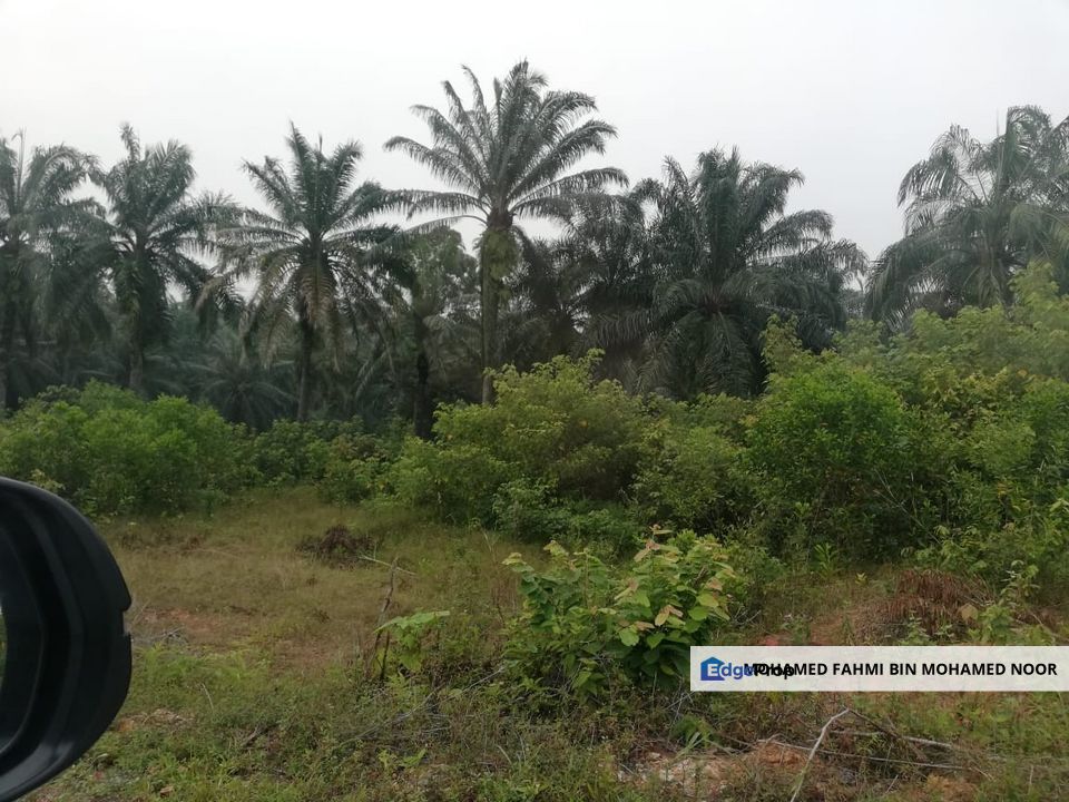 Agriculture Land Bukit Damar Dengkil, Selangor, Dengkil