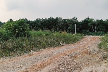 Kampung Labu Lanjut
