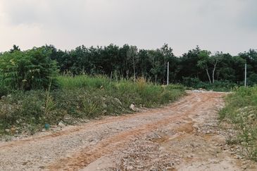Kampung Labu Lanjut