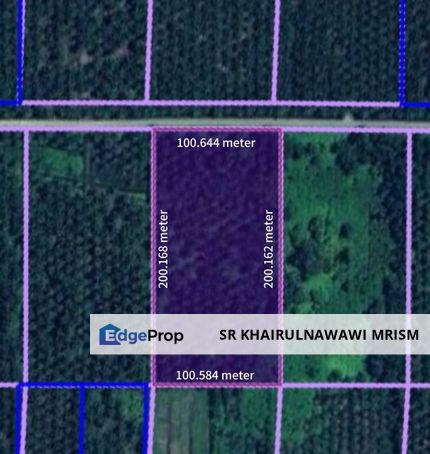 Tanah Freehold 5 ekar Kampung Ijok, Selangor, Kuala Selangor