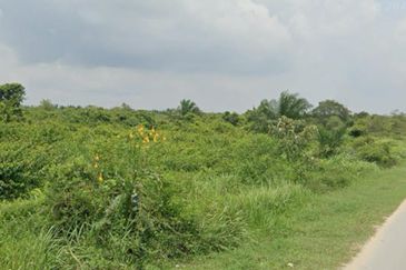 Agriculture Land for Sale at Kampung Subang Baru, Shah Alam