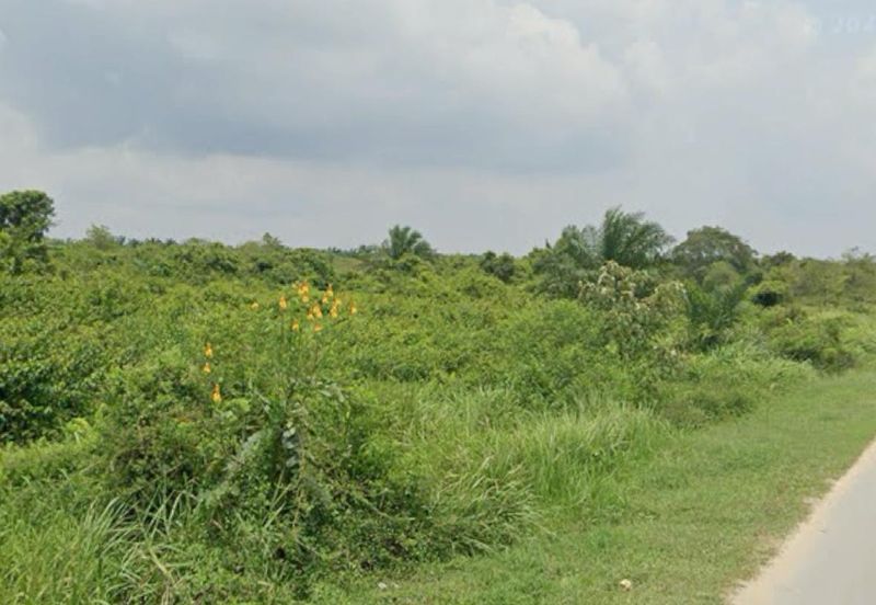 Agriculture Land for Sale at Kampung Subang Baru, Shah Alam