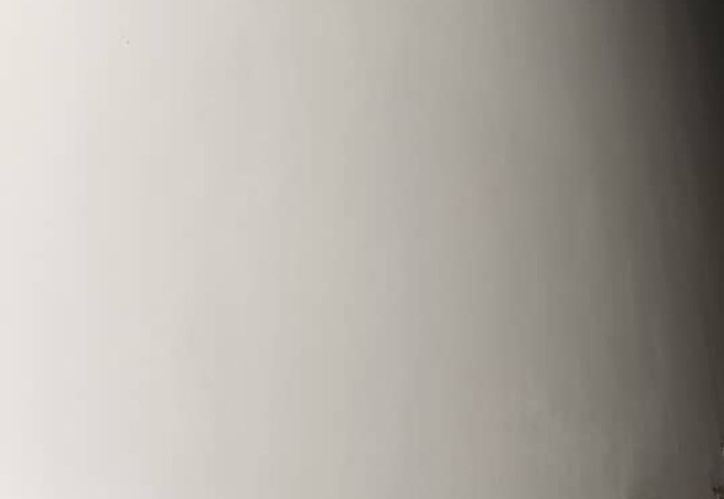 3 Anjoint Link Factory For Rent Perindustrian Anugerah Suria Sg Choh Rawang