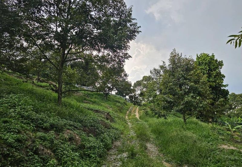 Resort With Durian Farm For Sale, Hulu Langat, Sungai Makau
