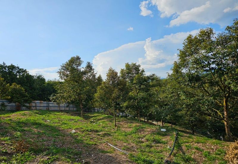 Resort With Durian Farm For Sale, Hulu Langat, Sungai Makau