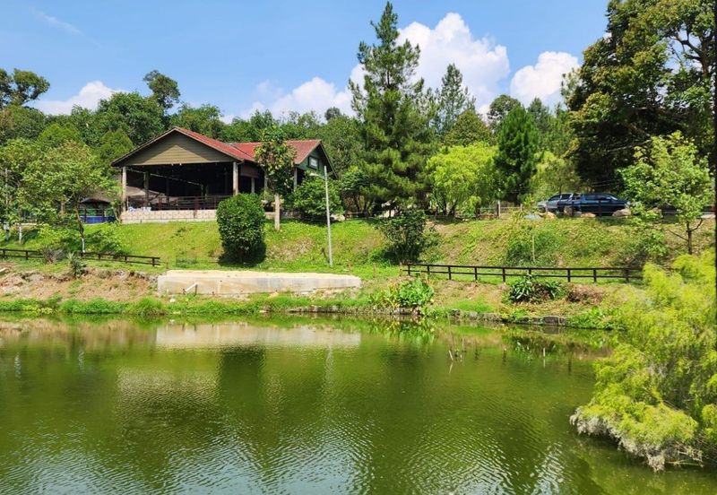 Resort With Durian Farm For Sale, Hulu Langat, Sungai Makau