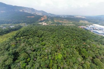 10 Acres Freehold Industrial Land For Sale Kampung Orang Asli Kuang, Rawang  