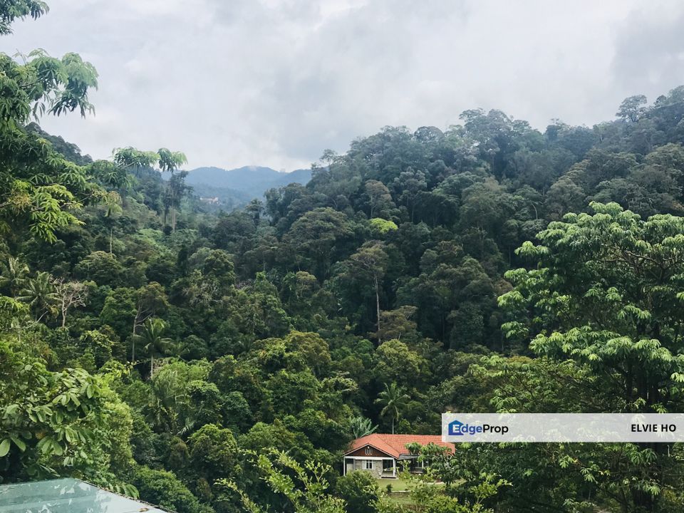 Berjaya Hills land, Pahang, Bentong