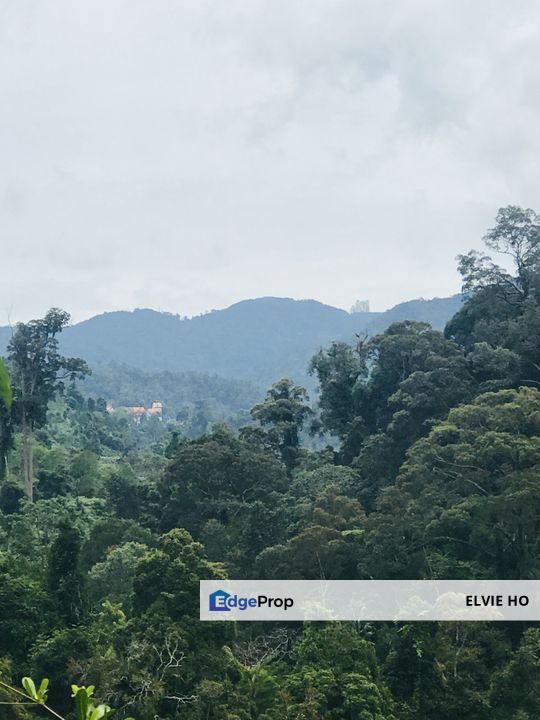 Berjaya Hills land, Pahang, Bentong