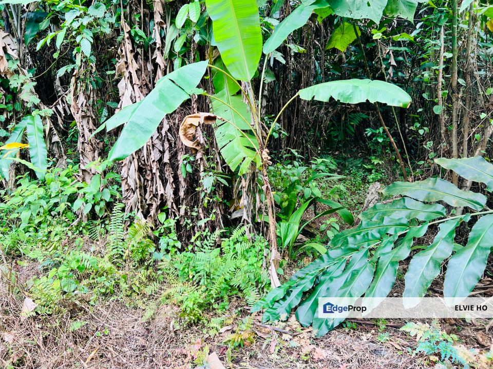 Broga freehold Agriculture land, Negeri Sembilan, Seremban