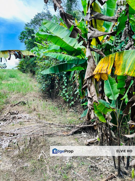 Broga freehold Agriculture land, Negeri Sembilan, Seremban