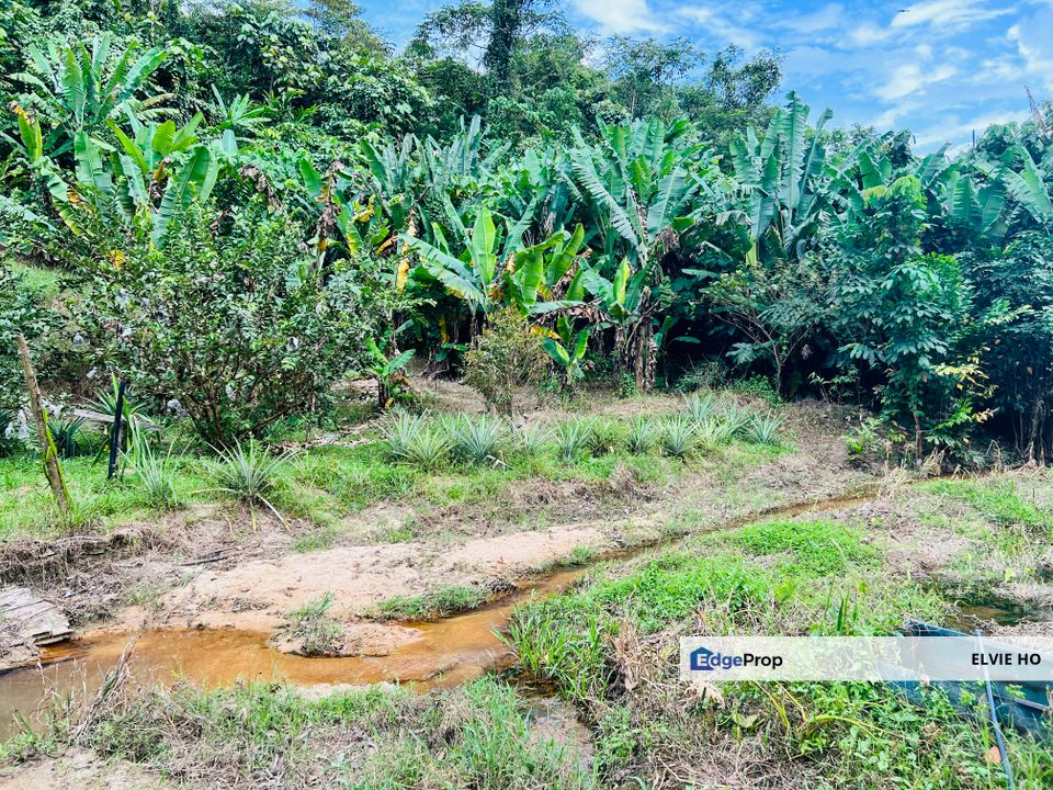 Broga freehold Agriculture land, Negeri Sembilan, Seremban