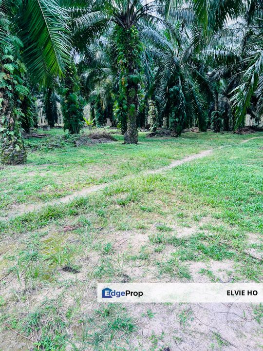 Broga freehold Agriculture land, Negeri Sembilan, Seremban