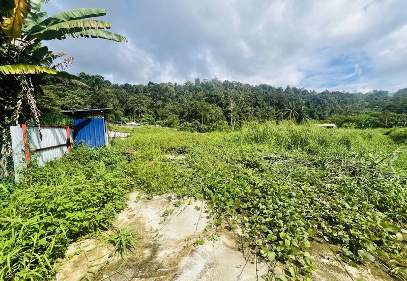Nice argriculture land near bukit lagong forest 