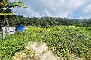 Nice argriculture land near bukit lagong forest 