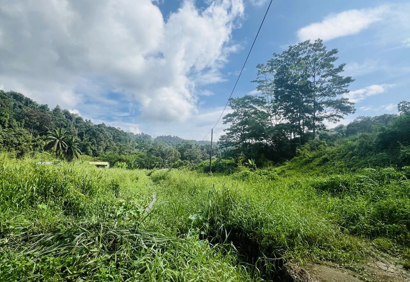 Nice argriculture land near bukit lagong forest 