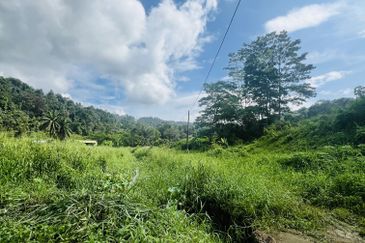 Nice argriculture land near bukit lagong forest 