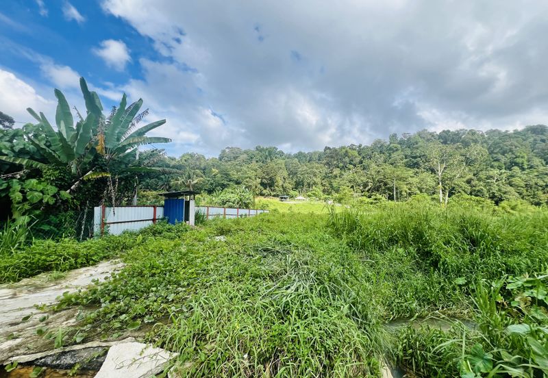 Nice argriculture land near bukit lagong forest 