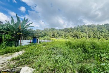 Nice argriculture land near bukit lagong forest 