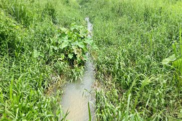 Nice argriculture land near bukit lagong forest 