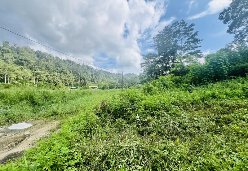 Nice argriculture land near bukit lagong forest 