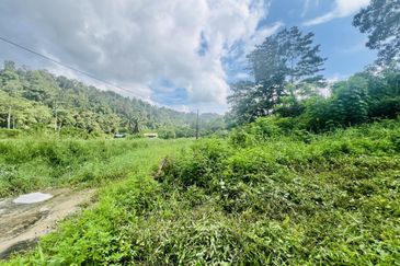 Nice argriculture land near bukit lagong forest 