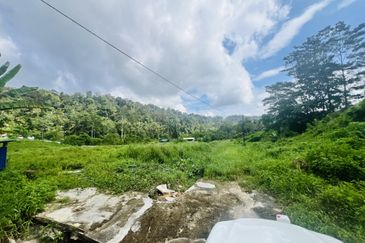 Nice argriculture land near bukit lagong forest 